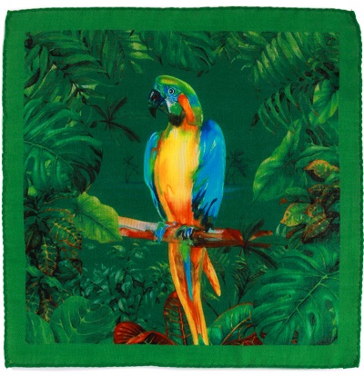 Kolorowa poszetka z papugą